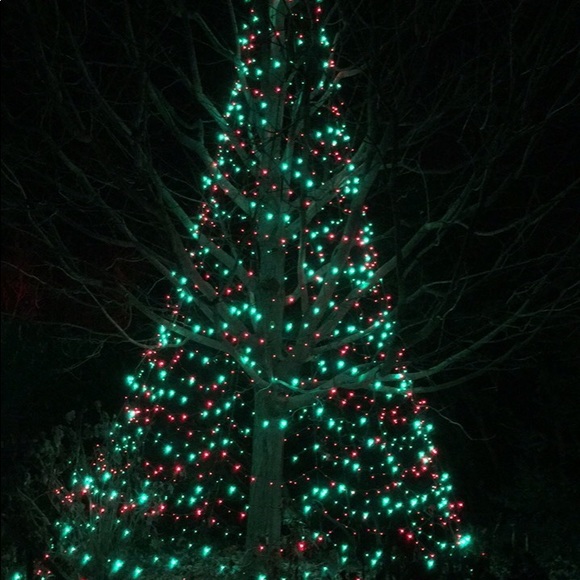 Meet your Posher, Kyle - Picture 1 of 1